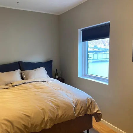 Spacious Modern Center Apartment